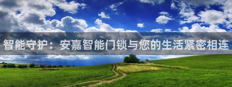 金年会手机网页登录：智能守护：安嘉智能门锁与您的生活紧密相连