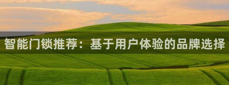 金年会代理：智能门锁推荐：基于用户体验的品牌选择