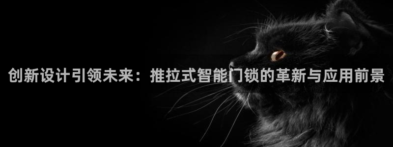 金年会黑平台：创新设计引领未来：推拉式智能门锁的革新与应用前