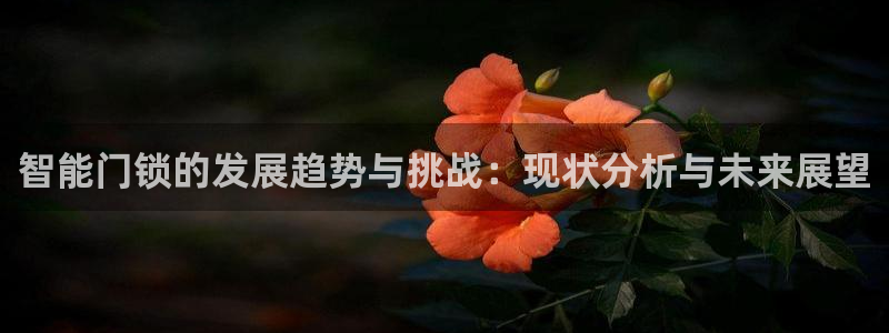 金年会金字招牌在线入口：智能门锁的发展趋势与挑战：现状分析与