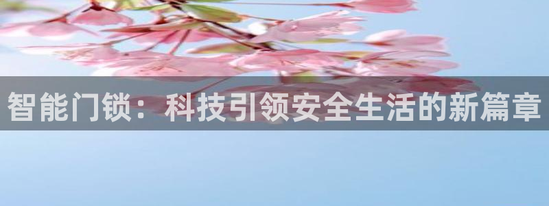 金年会app在线：智能门锁：科技引领安全生活的新篇章