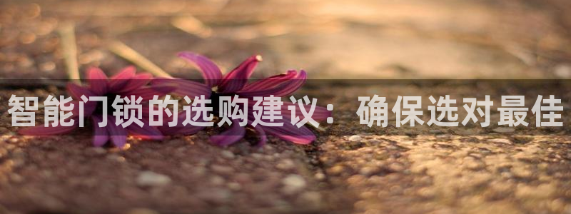 金年会最新登录：智能门锁的选购建议：确保选对最佳