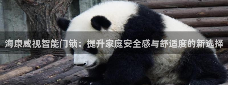金年会体育和金年会：海康威视智能门锁：提升家庭安全感与舒适度