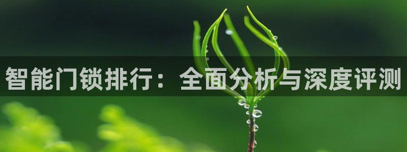 金年会全站app：智能门锁排行：全面分析与深度评测