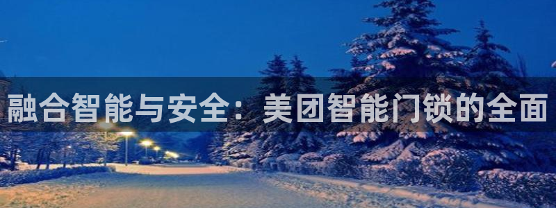 金年会吧：融合智能与安全：美团智能门锁的全面