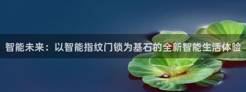 金年会在线入口：智能未来：以智能指纹门锁为基石的全新智能生活