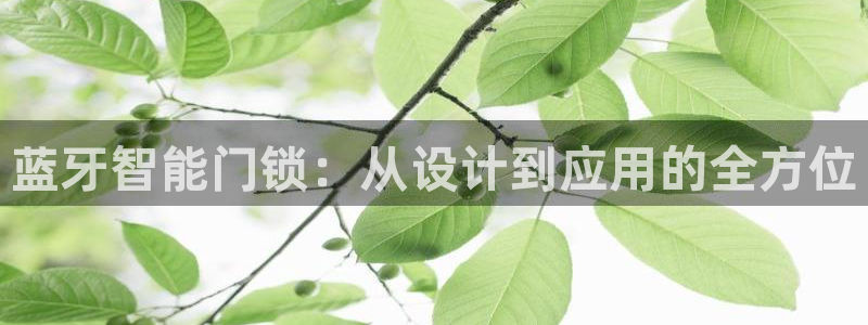 金年会网登录平台入口：蓝牙智能门锁：从设计到应用的全方位