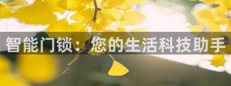 金年会体育官网在线：智能门锁：您的生活科技助手