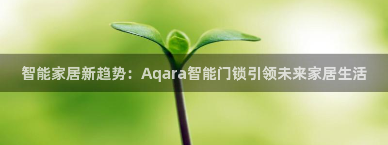 金年会娱乐和马竞：智能家居新趋势：Aqara智能门锁引领未来