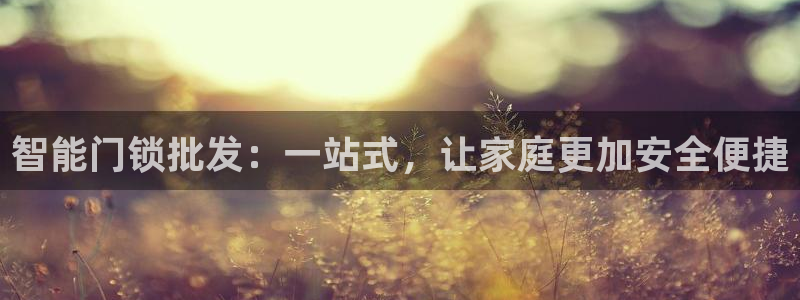 金年会体育平台：智能门锁批发：一站式，让家庭更加安全便捷
