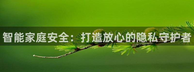 金辉城年会视频：智能家庭安全：打造放心的隐私守护者