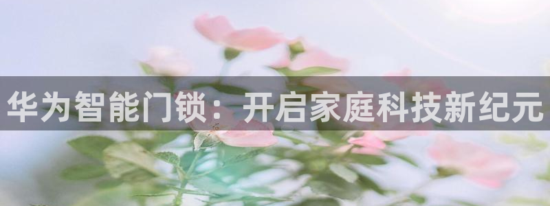 金年会平台包赔：华为智能门锁：开启家庭科技新纪元