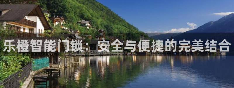 陆金所 年会：乐橙智能门锁：安全与便捷的完美结合