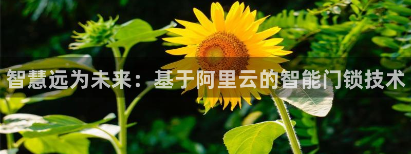 金年会网页登录：智慧远为未来：基于阿里云的智能门锁技术