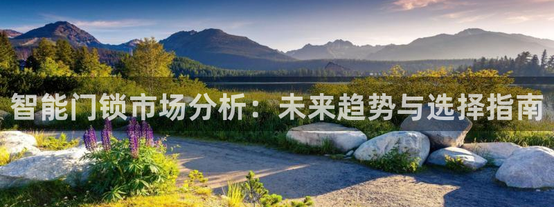 金年会体育官方网站入口：智能门锁市场分析：未来趋势与选择指南