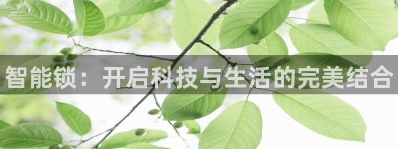 金年会网站：智能锁：开启科技与生活的完美结合