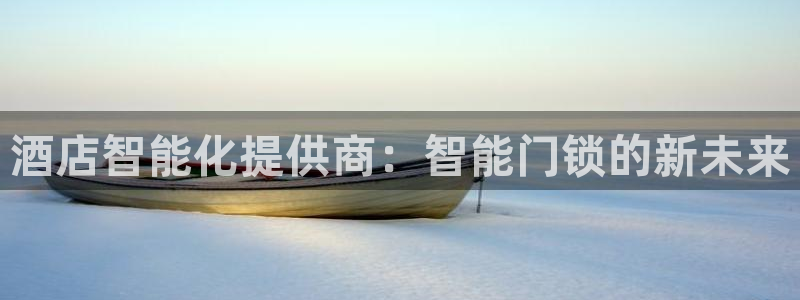 金年会今年会：酒店智能化提供商：智能门锁的新未来