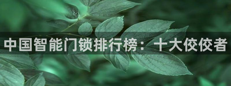 金年会6088070：中国智能门锁排行榜：十大佼佼者