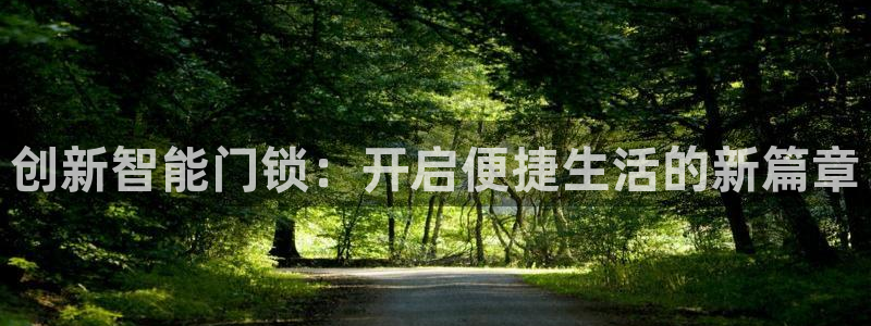 金年会app在线：创新智能门锁：开启便捷生活的新篇章