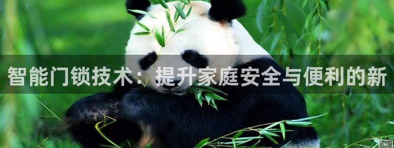 金年会平台包赔：智能门锁技术：提升家庭安全与便利的新