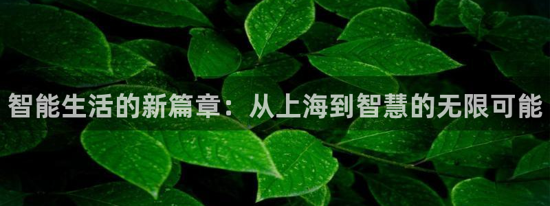 金年会在线登录：智能生活的新篇章：从上海到智慧的无限可能