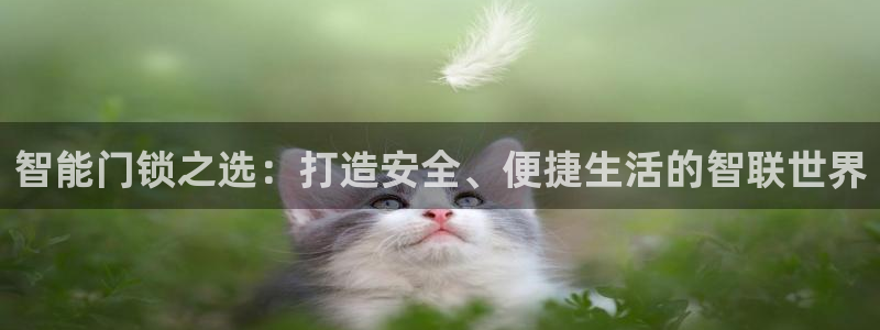 金年会APP黑钱：智能门锁之选：打造安全、便捷生活的智联世界