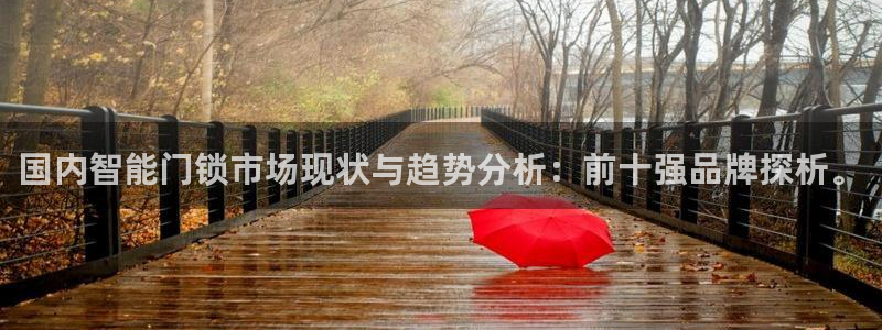 金年会体育和金年会：国内智能门锁市场现状与趋势分析：前十强品