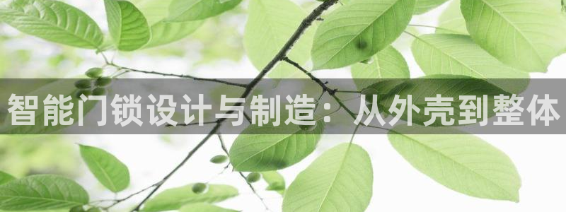 金年会体育下载：智能门锁设计与制造：从外壳到整体