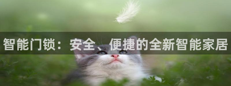 金 金年会：智能门锁：安全、便捷的全新智能家居