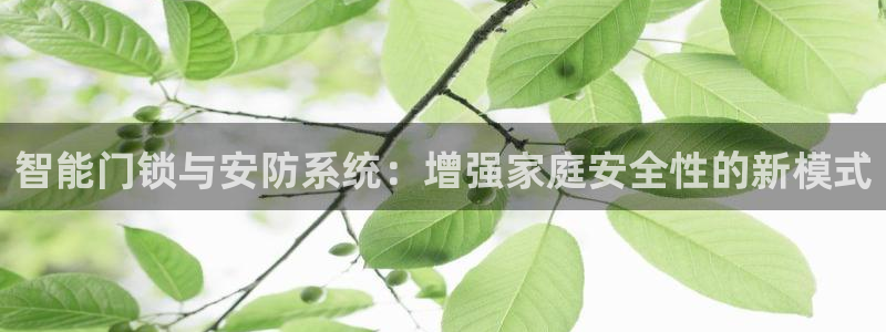 金年会101：智能门锁与安防系统：增强家庭安全性的新模式