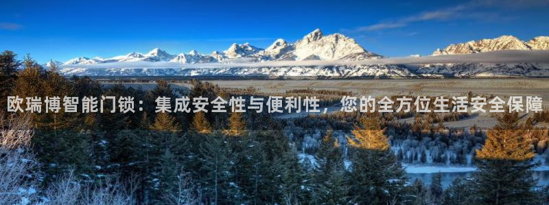 金年会注册官网：欧瑞博智能门锁：集成安全性与便利性，您的全方