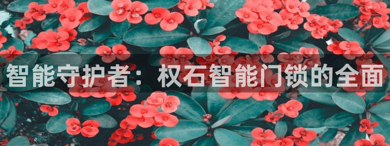 金帆年会2019：智能守护者：权石智能门锁的全面