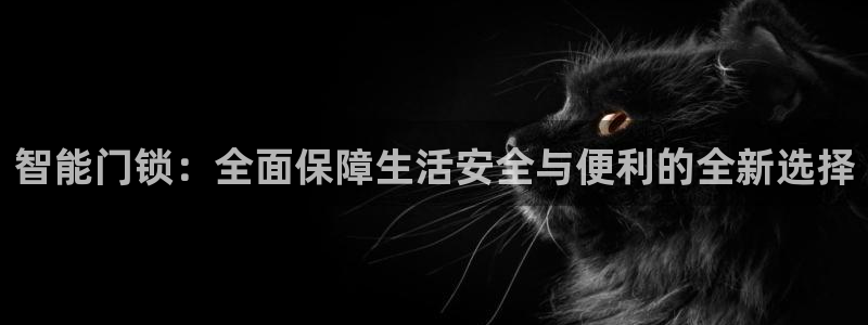 6766金年会：智能门锁：全面保障生活安全与便利的全新选择