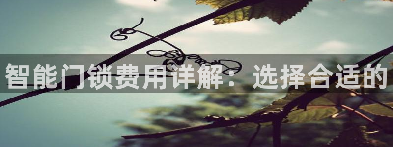 金年会体育平台：智能门锁费用详解：选择合适的