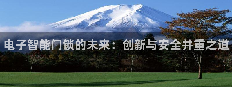 金年会官方网：电子智能门锁的未来：创新与安全并重之道