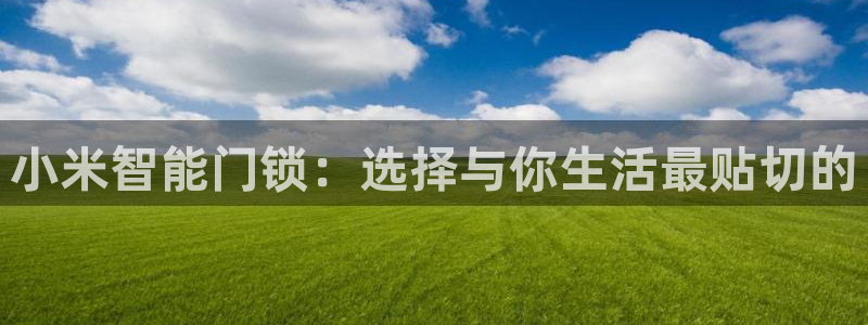 亚博金年会：小米智能门锁：选择与你生活最贴切的