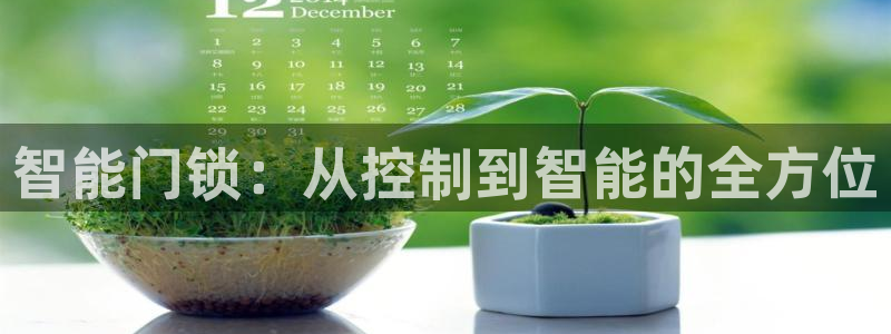 金年会吧：智能门锁：从控制到智能的全方位