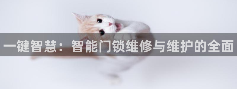 金年会app下载中国金年会：一键智慧：智能门锁维修与维护的全