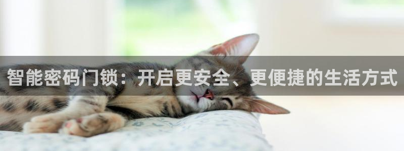 金吉年会：智能密码门锁：开启更安全、更便捷的生活方式