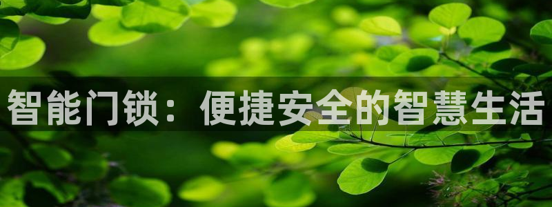 金年会在线登录：智能门锁：便捷安全的智慧生活