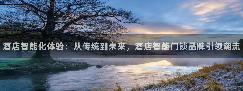 世界杯金年会app下载：酒店智能化体验：从传统到未来，酒店智