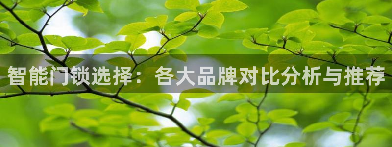 金年会app下载官网：智能门锁选择：各大品牌对比分析与推荐