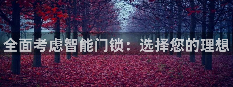 金年会 平台：全面考虑智能门锁：选择您的理想