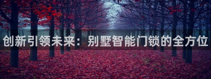 金年会综合APP：创新引领未来：别墅智能门锁的全方位