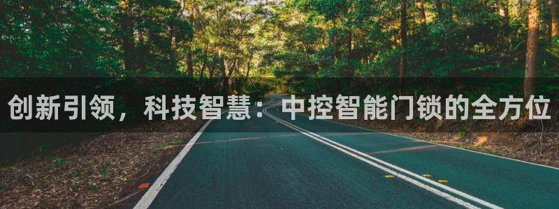 金诚集团年会：创新引领，科技智慧：中控智能门锁的全方位