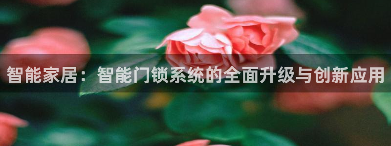 金年会官方网站入口：智能家居：智能门锁系统的全面升级与创新应