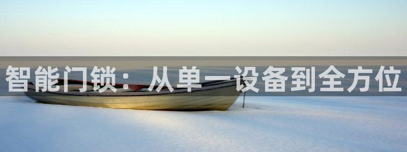金年会最新下载：智能门锁：从单一设备到全方位