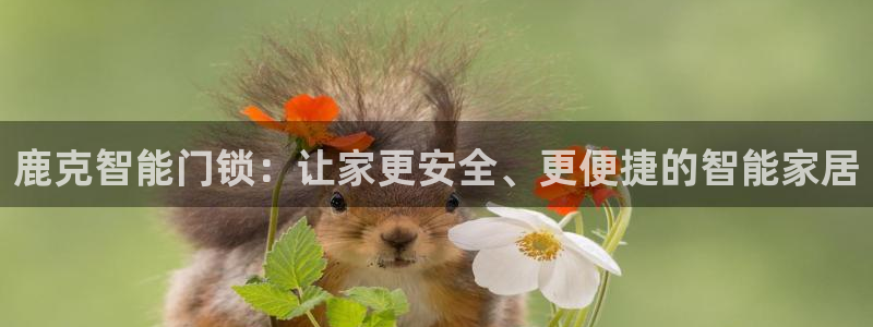 宝金年会：鹿克智能门锁：让家更安全、更便捷的智能家居