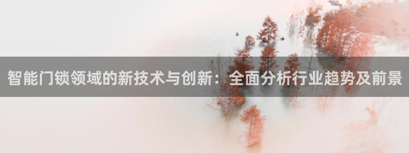 金年会游戏官网：智能门锁领域的新技术与创新：全面分析行业趋势