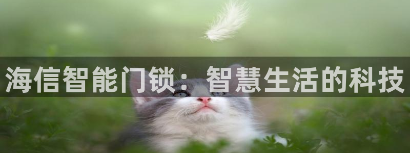 金年会平台游戏：海信智能门锁：智慧生活的科技